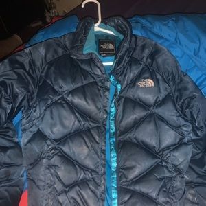 The north face coat
